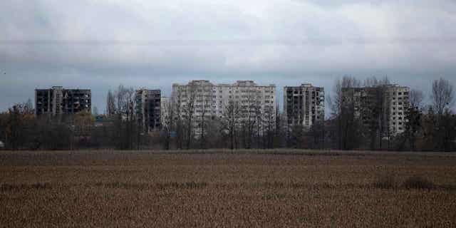 A view of apartment buildings destroyed by fighting, in Borodyanka, Kyiv region, Ukraine, Sunday, Nov. 13, 2022.