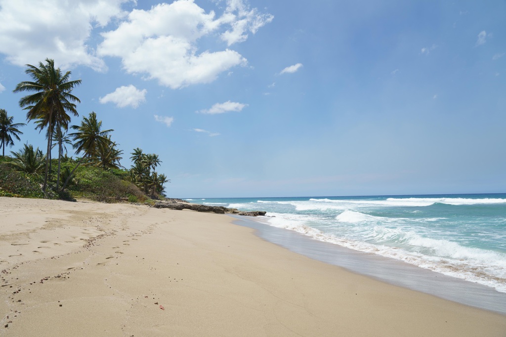 The beaches of the Dominican Republic were the settings of many dates on "Back in the Groove." 