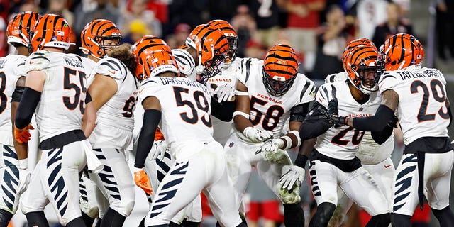 The Cincinnati Bengals celebrates a fumble recovered by DJ Reader #98 of the Cincinnati Bengals during the third quarter in the game against the Tampa Bay Buccaneers at Raymond James Stadium on December 18, 2022 in Tampa, Florida. 