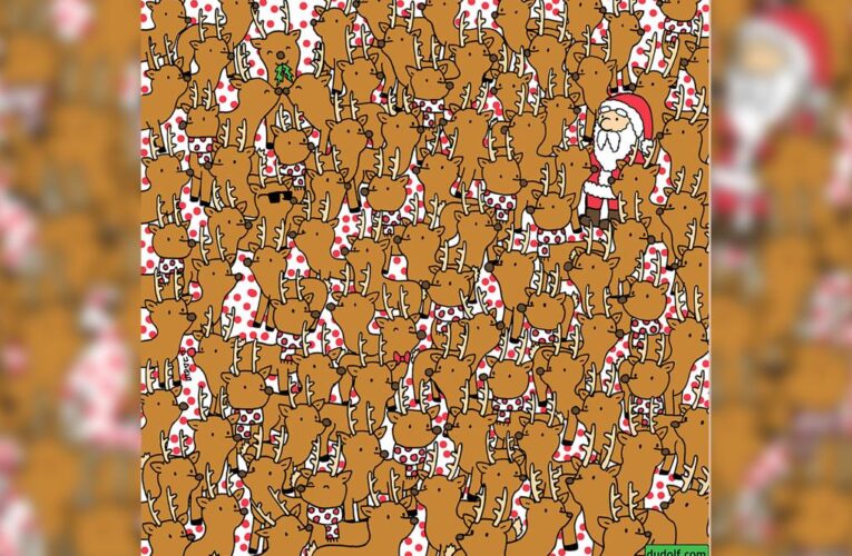 Can you find Rudolph among the reindeer?