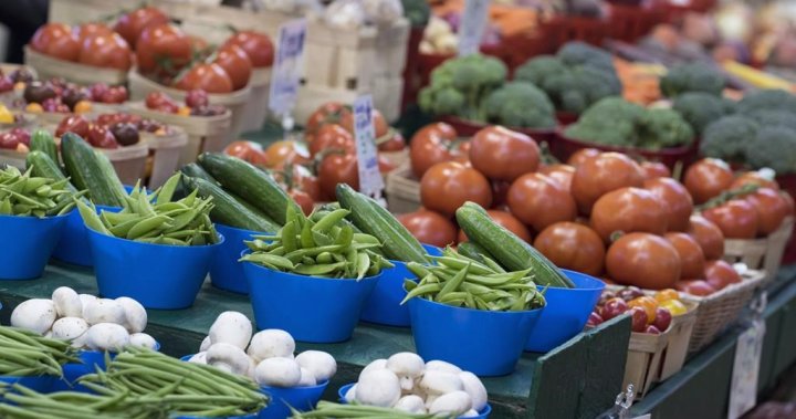 How to eat healthy amid rising food costs? Expert says plant-based ‘all the way’
