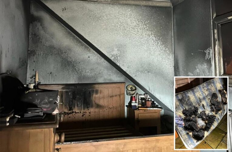 Dog sets house on fire on Christmas Eve by turning on hairdryer