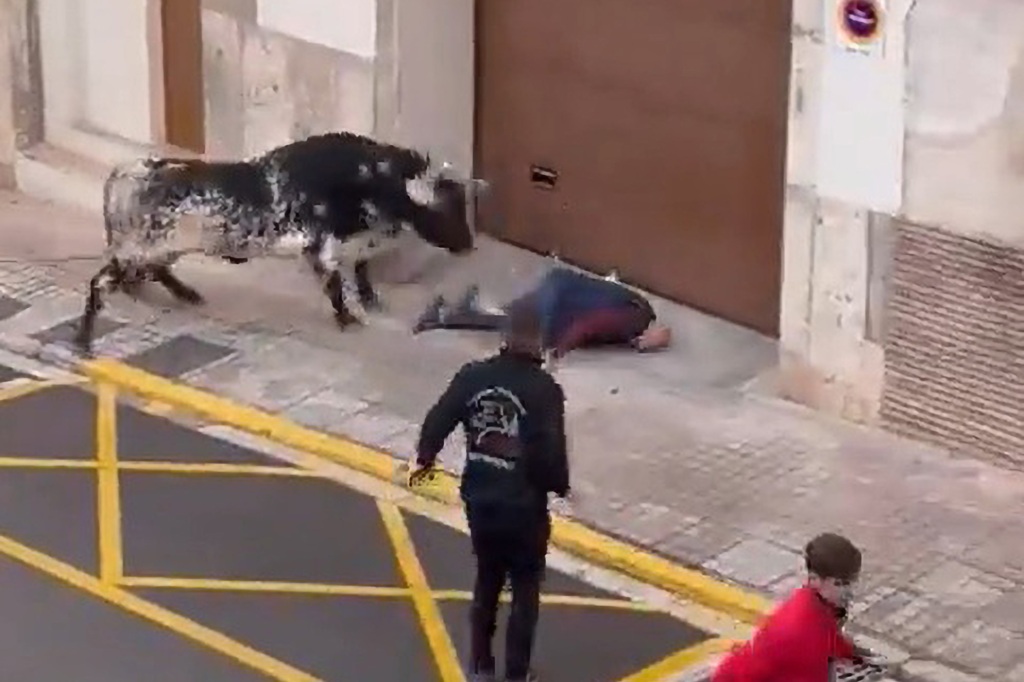 Man injured by a bull in Spain