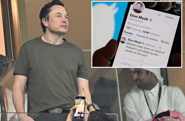 Twitter users vote for Elon Musk to resign as CEO