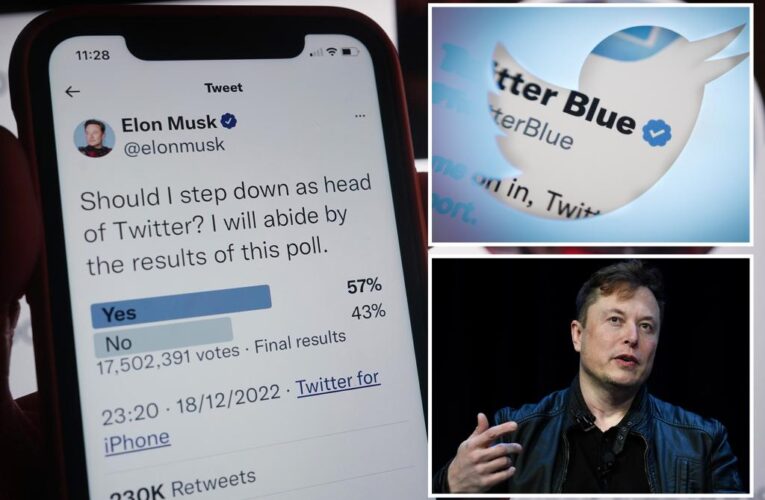 Elon Musk says only paying Twitter users will vote in key polls