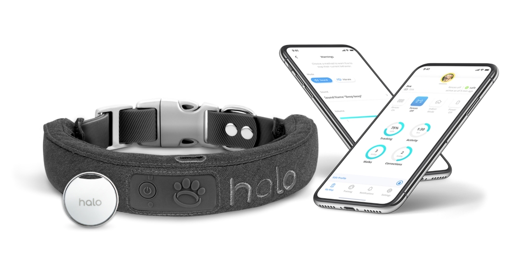 But that doesn't mean Millan wants dogs to go missing; GPS-based technology like this Halo Collar device keep track of animals while they're out having fun. 