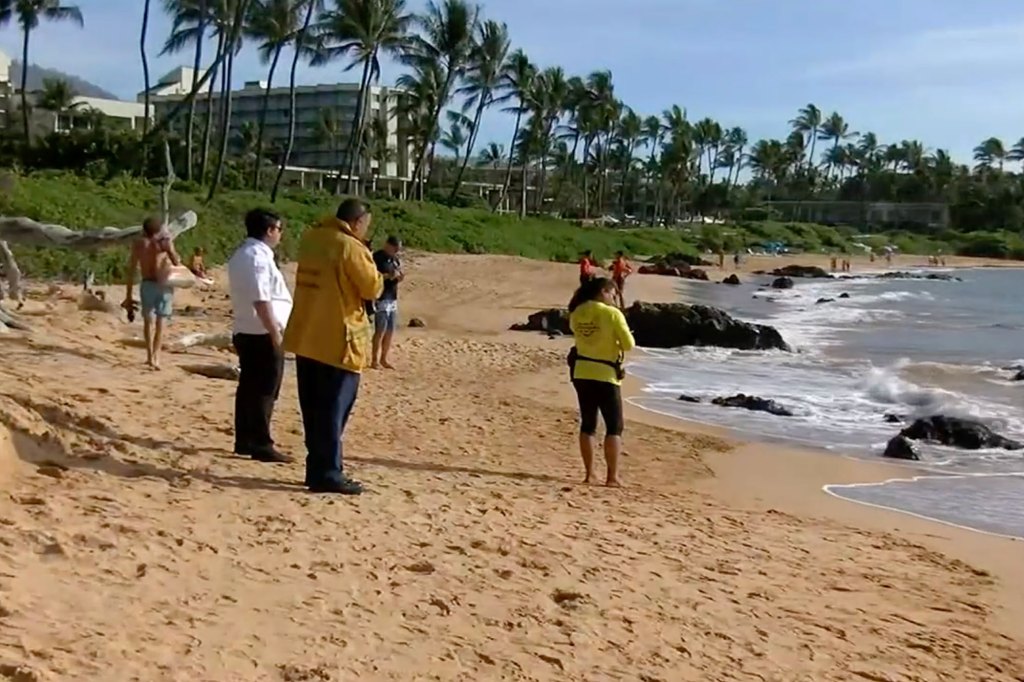 The unidentified husband claimed he and his wife were snorkeling around 50 yards off shore when he saw a shark.