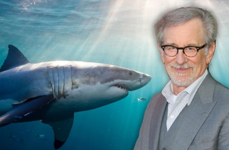 Steven Spielberg apologizes for ‘Jaws’ impact on sharks