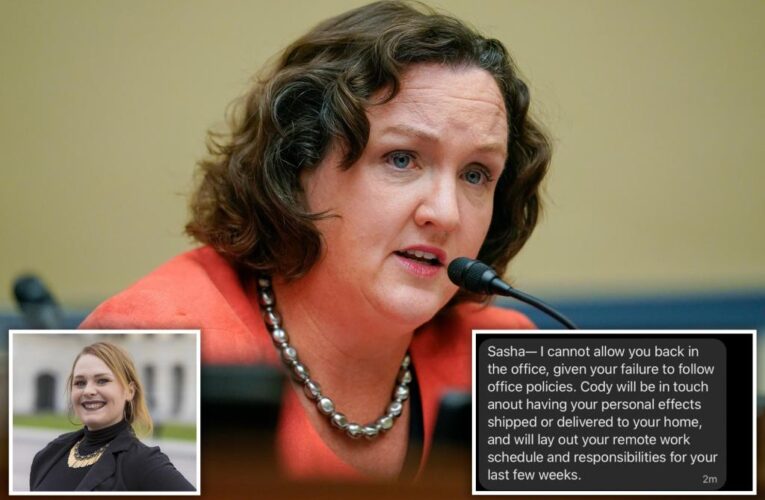 Dem Rep. Katie Porter accused of demoting aide who ‘gave me COVID’