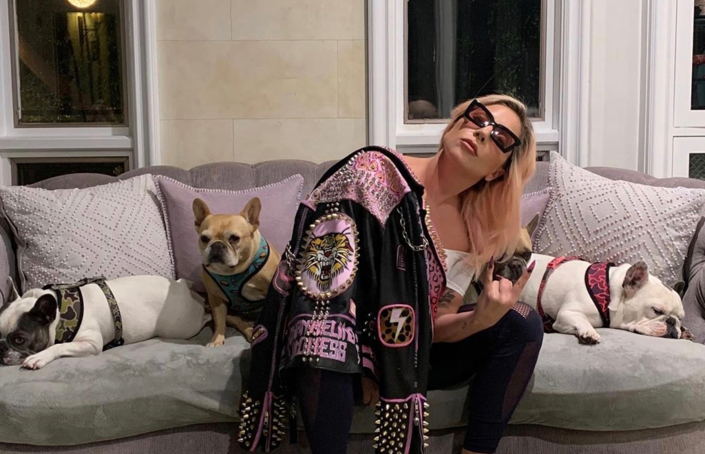 Lady Gaga posing with her dogs.