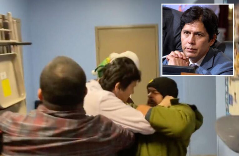 Los Angeles council member Kevin de Leon involved in fight with activist