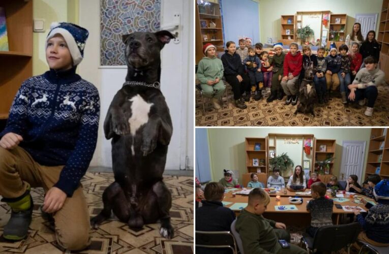 Ukraine children facing the trauma of the war are treated with dog therapy
