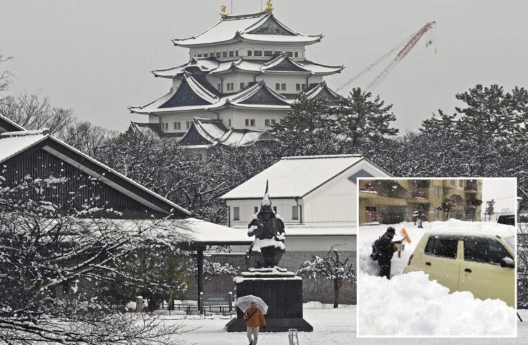 Heavy snow in Japan leaves 17 dead, dozens injured