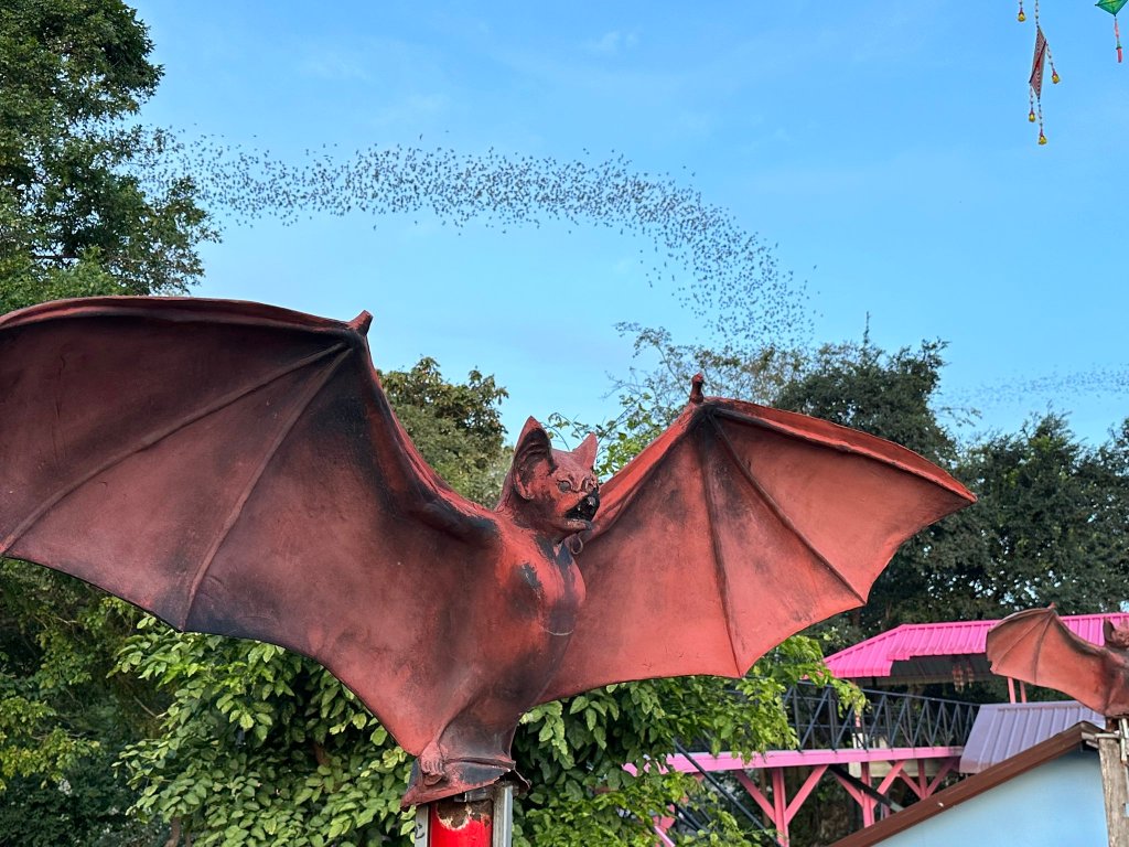 Daszak's post of bats flying in Thailand.