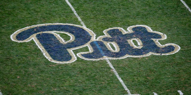 The Pitt logo on the field during a game between the Pittsburgh Panthers and Penn State Nittany Lions Sept. 10, 2016, at Heinz Field in Pittsburgh. 