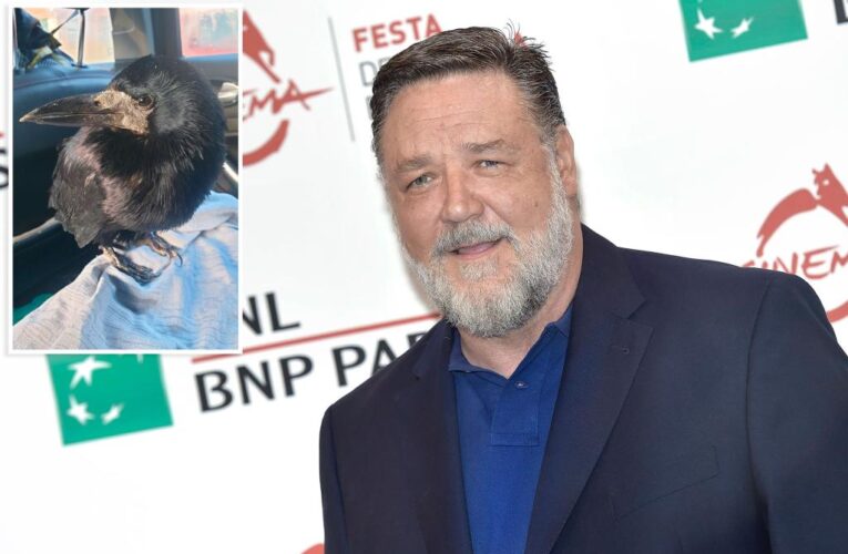 Russell Crowe comes to the rescue for his crow namesake
