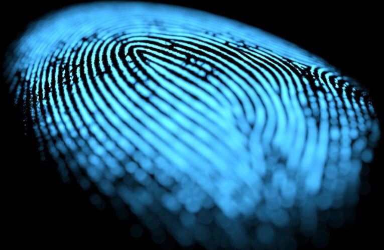 Fingerprint images may be predictor for schizophrenia: study