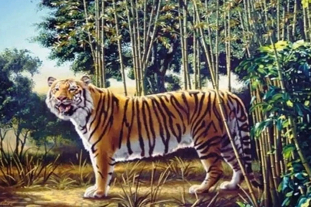 An optical illusion featuring two tigers was the biggest hit on The Post's site this year.