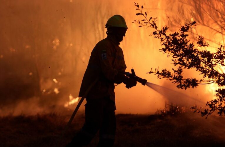 Wildfire damages cost €2 billion last year, says EU Commissioner