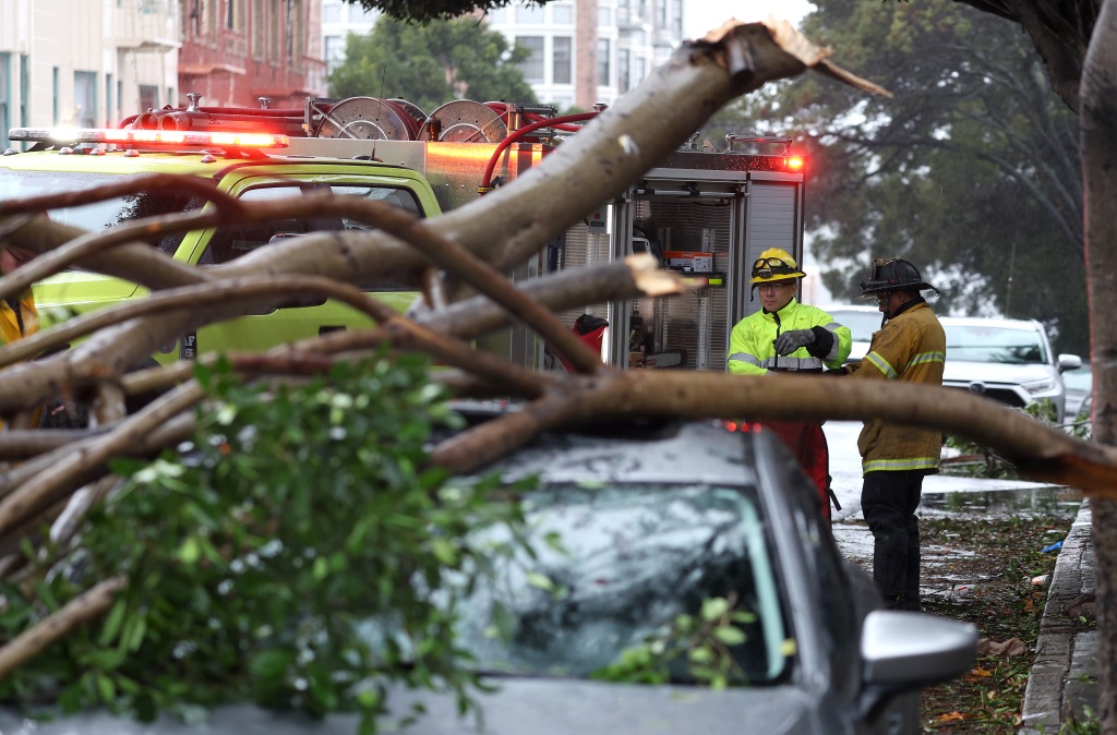 San Francisco firefighters prepare to remove a large tree branch that fell onto a parked car on Jan. 10, 2023 in San Francisco, Calif.