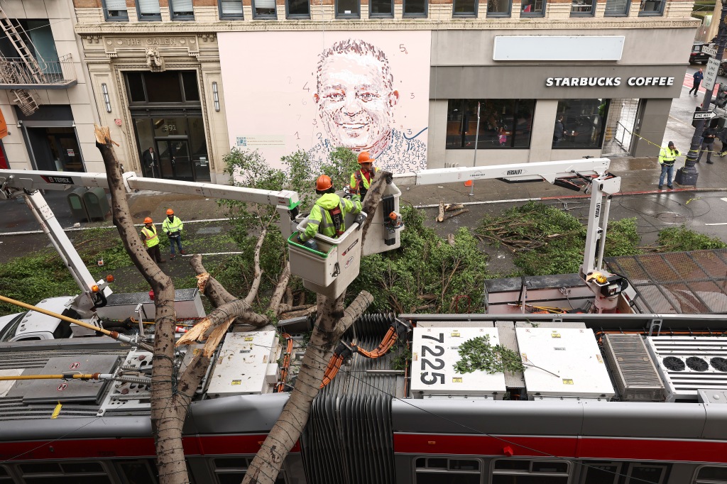 San Francisco Department of Public Works workers cut up a tree that fell on a SF MUNI bus after a storm passed through the area on Jan. 10, 2023 in San Francisco, Calif.