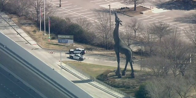 The Dallas Zoo is closed as officials search for an escaped clouded leopard, Friday, Jan. 13, 2023.