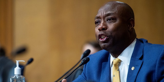 Sen. Tim Scott, R-S.C., questions Chris Magnus as Magnus appears before a Senate Finance Committee hearing on his nomination to be the next U.S. Customs and Border Protection commissioner in the Dirksen Senate Office Building on Capitol Hill in Washington, D.C., Oct. 19, 2021.