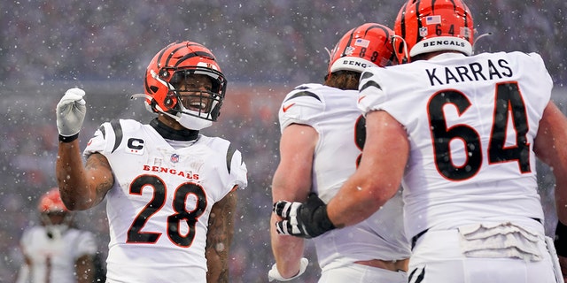 Cincinnati Bengals teammates celebrate after a touchdown by tight end Hayden Hurst against the Buffalo Bills, Sunday, Jan. 22, 2023, in Orchard Park, New York.