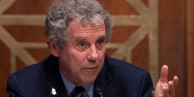 Chairman Sherrod Brown, D-Ohio, questions nominee to be the Comptroller of the Currency Saule Omarova as she testifies before the Senate Banking, Housing and Urban Affairs Committee during a hearing on Capitol Hill in Washington, D.C., on Nov. 18, 2021. (Photo by JIM WATSON/AFP via Getty Images)