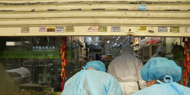 Officers in protective suits enter a closed pet shop after a hamster cull was ordered to curb the COVID-19 outbreak in Hong Kong on Jan. 19, 2022.