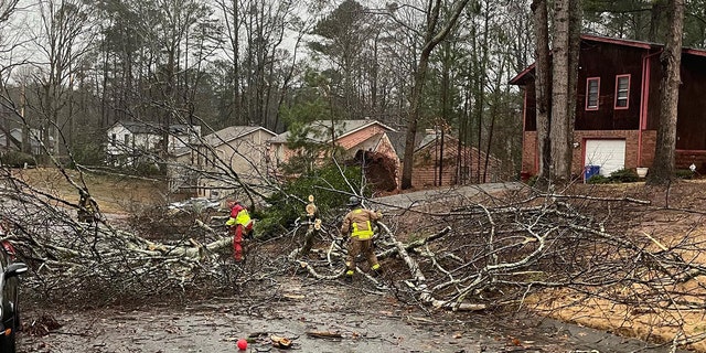 Trees block the road in Austell, Georgia, on Jan. 12, 2023.