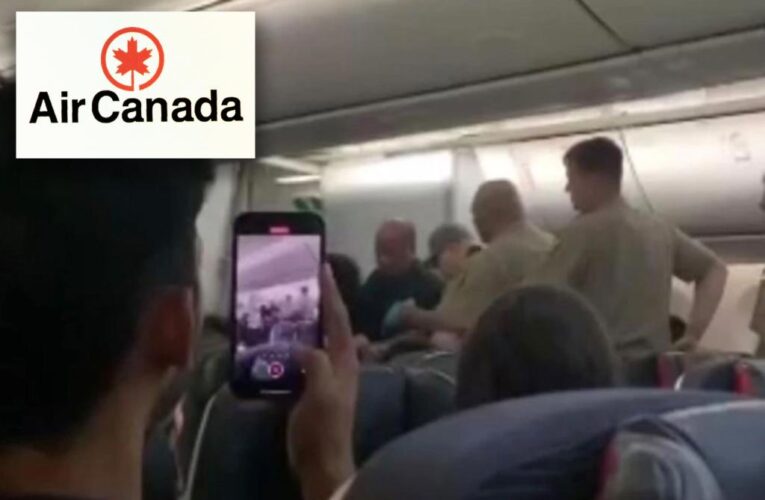 Passenger hauled off Air Canada flight after allegedly choking out flight attendant