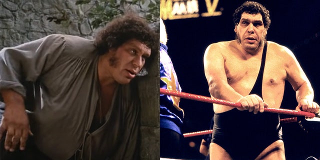 Andre the Giant