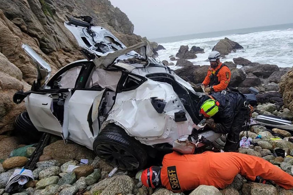 Mangled remains on doctor's Tesla