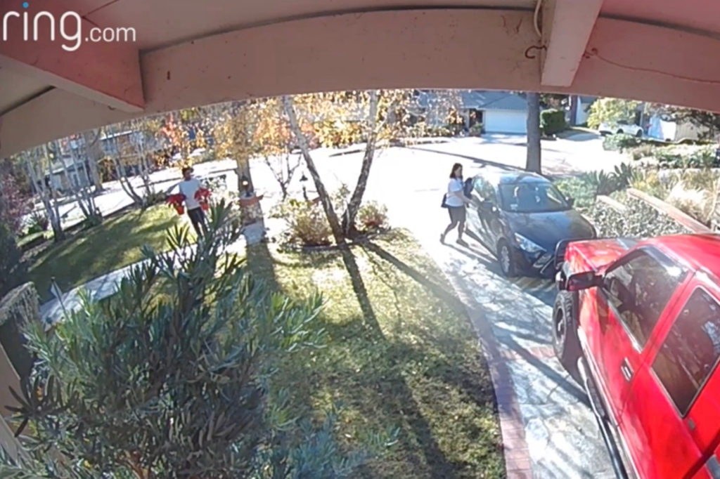 Dr. Dharmesh Patel, delivers poinsettias to a neighbor