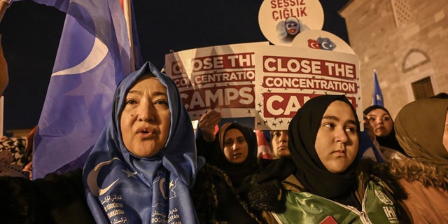 Supporters of China's Muslim Uighur minority wave the flag of East Turkestan and hold placards on December 20, 2019 during a demostration at Fatih in Istanbul. - More than 1,000 protesters marched Friday in Istanbul to protest against China over its treatment of mainly Muslim Uighurs in Xinjiang, an AFP correspondent said.They called for an end to the crackdown in China's northwestern region, where upwards of one million Uighurs and other mostly Muslim minorities are believed to be held in re-education camps. 