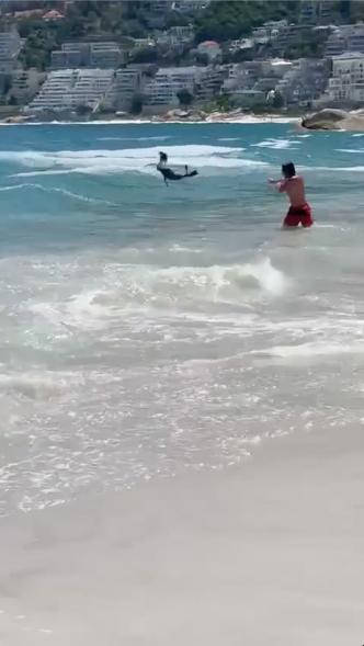 A samaritan heaves the seal back into the sea after everyone's out of the water.