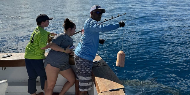 Campbell Keenan and his family reeled in a great white shark off the coast of Fort Lauderdale, Florida