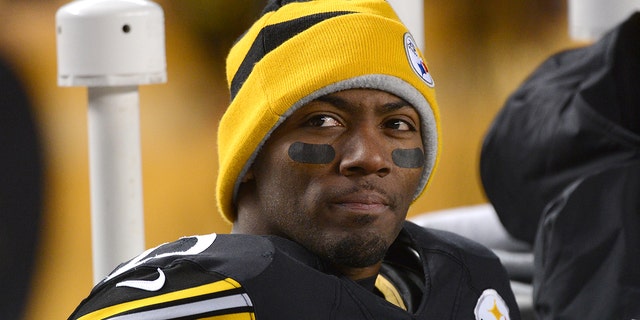 Safety Ryan Clark of the Pittsburgh Steelers looks on from the sideline during a game against the Cincinnati Bengals at Heinz Field on December 15, 2013 in Pittsburgh, Pennsylvania.