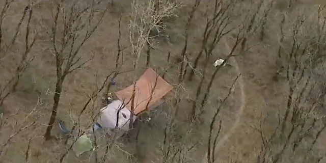 Protesters have set up tents and other accommodations in the woods. 