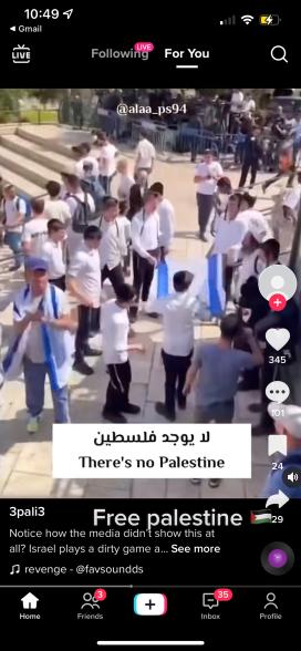 Anti-Israeli videos such as this have been described as "conflict porn" and "Tik Tok Intifada."