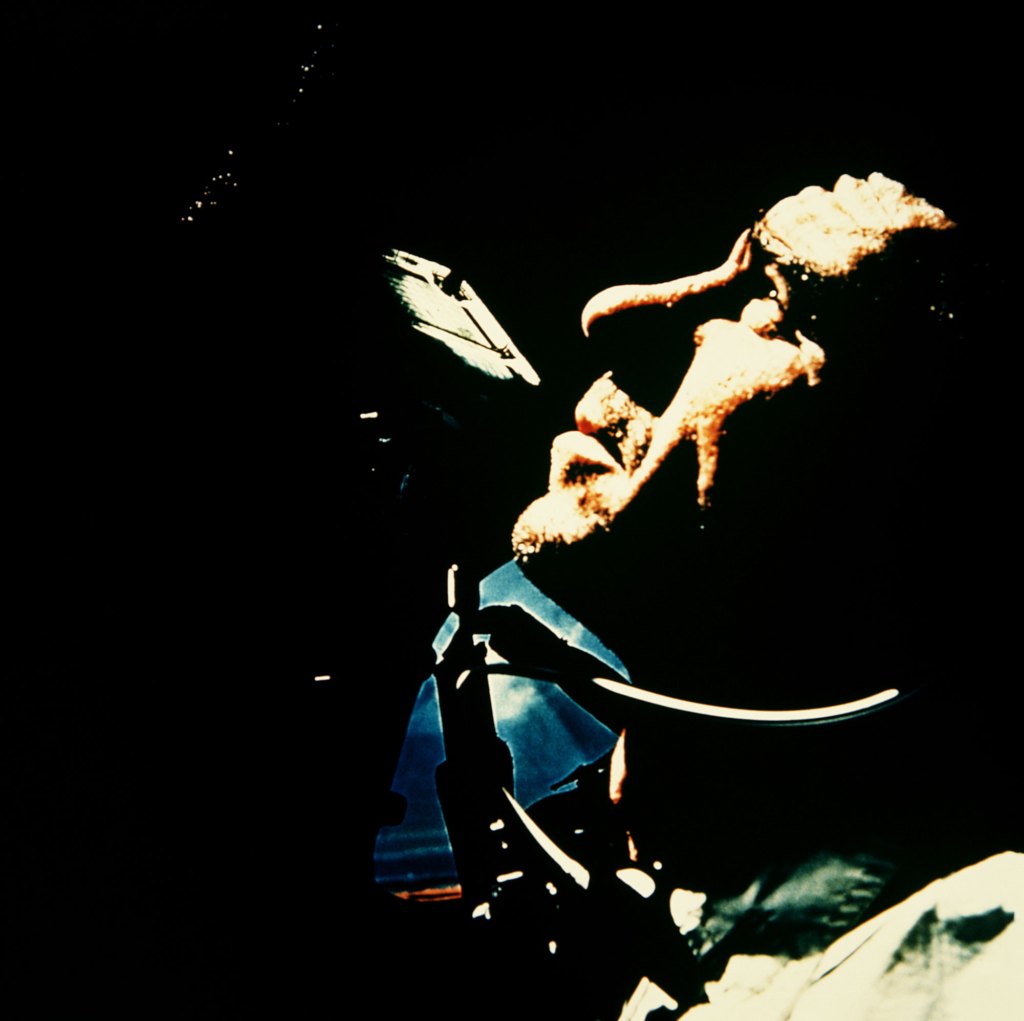Lunar module pilot Walter Cunningham during the Apollo 7 mission.