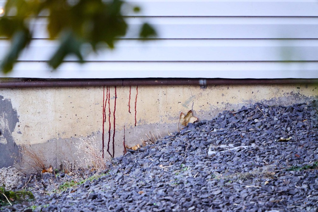 Blood oozes out of the side of an off-campus home where four University of Idaho students were stabbed to death.