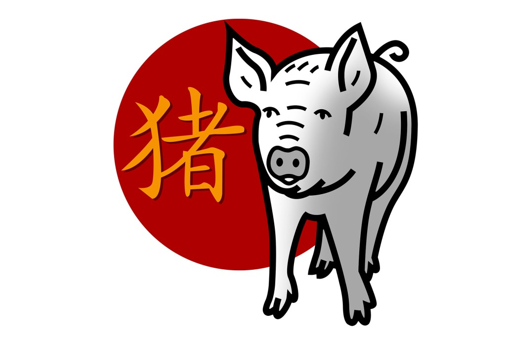 Chinese zodiac sign for year of the pig with an illustrated pig and the character for pig