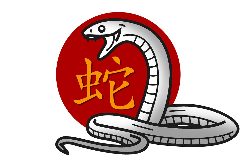 Chinese zodiac sign for year of the snake with illustrated snake and Chinese characters for snake