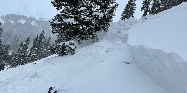 The elder Feinstein dug himself out of the snow and skied 40 minutes to an area where he could get cell phone service to call for help.