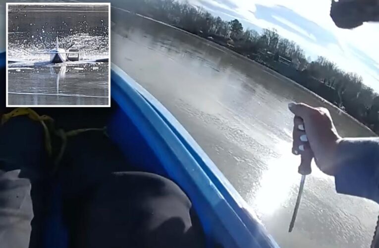 Cop uses screwdrivers as oars while rescuing pilot: video