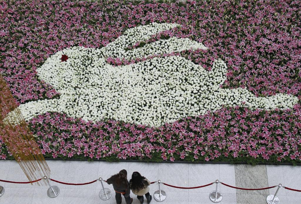 Customers look at a giant rabbit-shaped decoration made of white roses and lilies for the upcoming Chinese Spring Festival at a shopping mall in Nanjing. The Lunar New Year begins on February 3 and marks the start of the Year of the Rabbit, according to the Chinese zodiac.