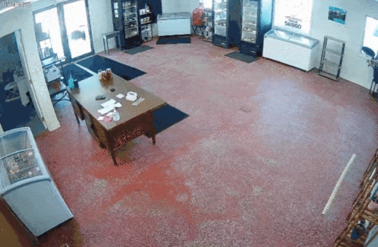 Deer crashed through the doors of Minnesota butcher shop