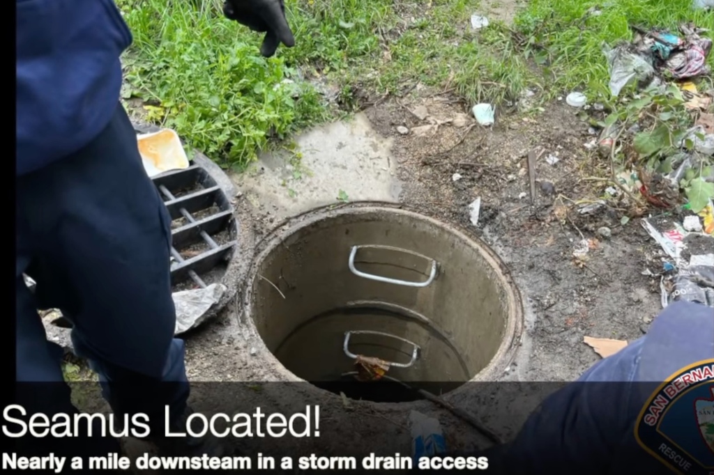 Thanks to Seamus' Apple AirTag and a tip from a good Samaritan, the missing pooch was tracked down to this tube, about a mile away from where fell into the storm drain. 